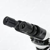 APM-10B WF10X/18 mm binokulares Polarisationsmikroskop APM-10B WF10X/18 mm binokulares Polarisationsmikroskop