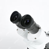 Бинокулярный стереомикроскоп AST-5C Classic с поворотным объективом (2x-4x), штативом и светодиодным проходящим и падающим освещением.  Бинокулярный стереомикроскоп AST-5C Classic с поворотным объективом (2x-4x), штативом и светодиодным проходящим и падающим освещением.