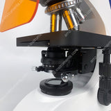 FM-900L Upright Fluorescence Microscope with 5W LED Fluorescence Lamp FM-900L Upright Fluorescence Microscope with 5W LED Fluorescence Lamp