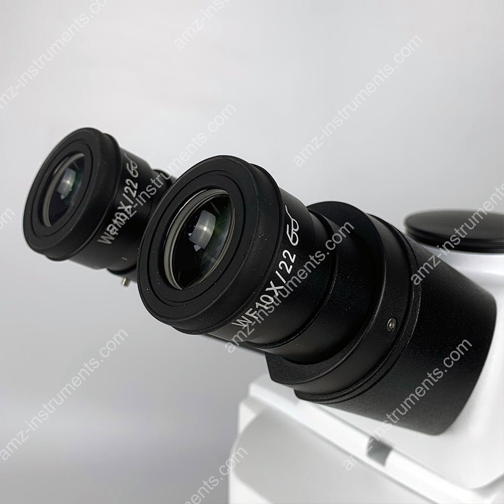 FM-900M Upright Fluorescence Microscope with 100W Mercury Lamp FM-900M Upright Fluorescence Microscope with 100W Mercury Lamp