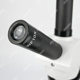 NK-201E 40x-1000x Biological Microscope with Vertical Tube NK-201E 40x-1000x Biological Microscope with Vertical Tube