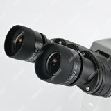 NK-X30B Binocular Clinical Laboratory Biological Microscope NK-X30B Binocular Clinical Laboratory Biological Microscope