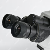 NK-X30B Binocular Clinical Laboratory Biological Microscope NK-X30B Binocular Clinical Laboratory Biological Microscope