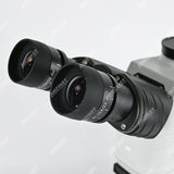 Биологический микроскоп серии NK-X30T  Биологический микроскоп серии NK-X30T