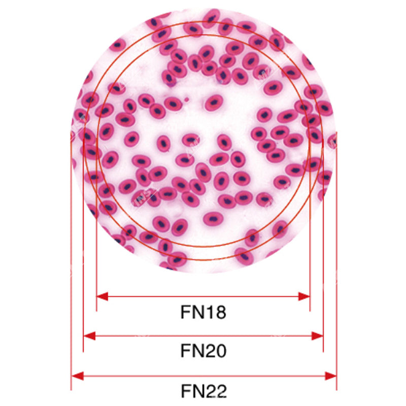 NK-X33B Новая конструкция вертикального бинокулярного биологического микроскопа  NK-X33B Новая конструкция вертикального бинокулярного биологического микроскопа