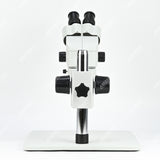 Бинокулярный стереомикроскоп NZM0745B-L1 с увеличением 0,7–4,5X Бинокулярный стереомикроскоп NZM0745B-L1 с увеличением 0,7–4,5X