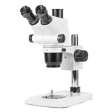 ZM6565T-D5 0.65X-6.5X Zoom Stereo Microscope ZM6565T-D5 0.65X-6.5X Zoom Stereo Microscope