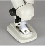 AST-W1 Бинокулярный стереомикроскоп начального уровня для студентов, образовательный, с фиксированным объективом 2x и пластиковым корпусом AST-W1 Бинокулярный стереомикроскоп начального уровня для студентов, образовательный, с фиксированным объективом 2x и пластиковым корпусом
