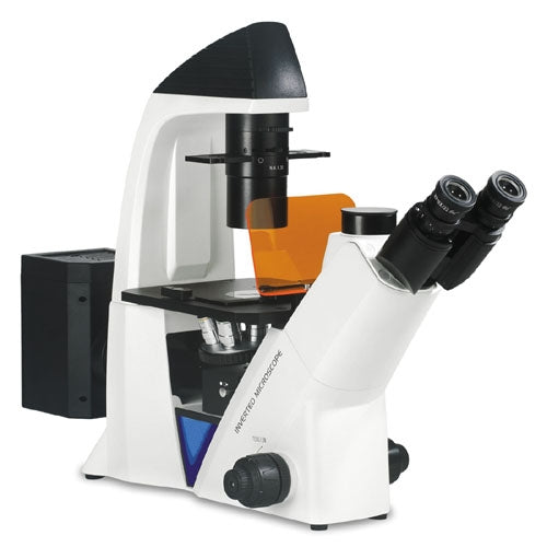 FL-310T Inverted Fluorescence microscope FL-310T Inverted Fluorescence microscope