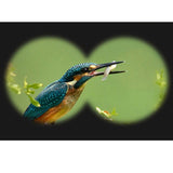 Бинокль AL-06BE 12x42 HD с металлическим корпусом Бинокль AL-06BE 12x42 HD с металлическим корпусом