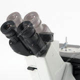 Инвертированный биологический микроскоп ABM-500T для лабораторного культивирования клеток и тканей с интеллектуальной системой ECO  Инвертированный биологический микроскоп ABM-500T для лабораторного культивирования клеток и тканей с интеллектуальной системой ECO