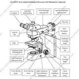 Бинокулярный металлургический микроскоп AJX-40MB с проходящим и отраженным светом  Бинокулярный металлургический микроскоп AJX-40MB с проходящим и отраженным светом