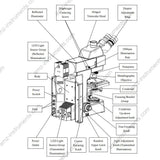 Тринокулярный металлургический микроскоп AJX-40MFT с отраженным светом  Тринокулярный металлургический микроскоп AJX-40MFT с отраженным светом