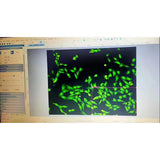 PCT-H Microscope camera for  Fluorescence Microscope PCT-H Microscope camera for  Fluorescence Microscope