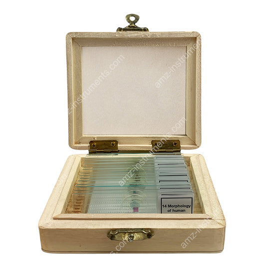 MS-15L Microscope Prepred slide 15pcs. Wooden Box