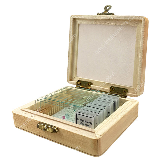 MS-15L Microscope Prepred slide 15pcs. Wooden Box