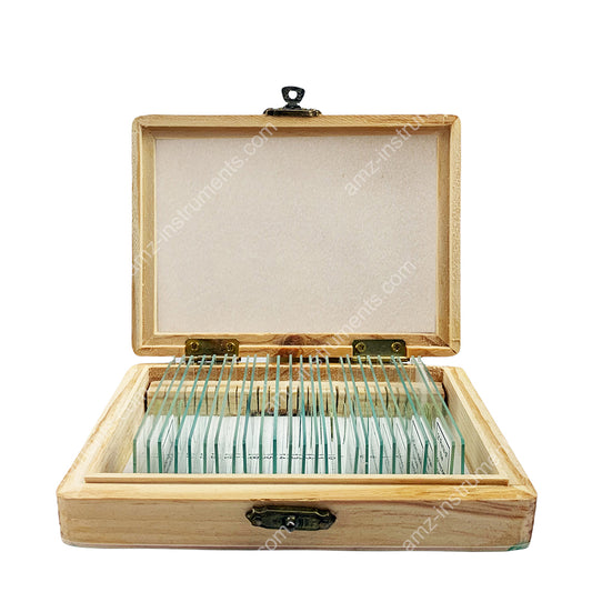 MS-25L Microscope Prepred slide 25pcs. Wooden Box