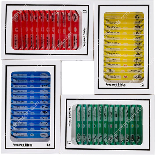 MS-48L Color-coded Plastic Microscope Prepared Slides 48pcs. Carton Box