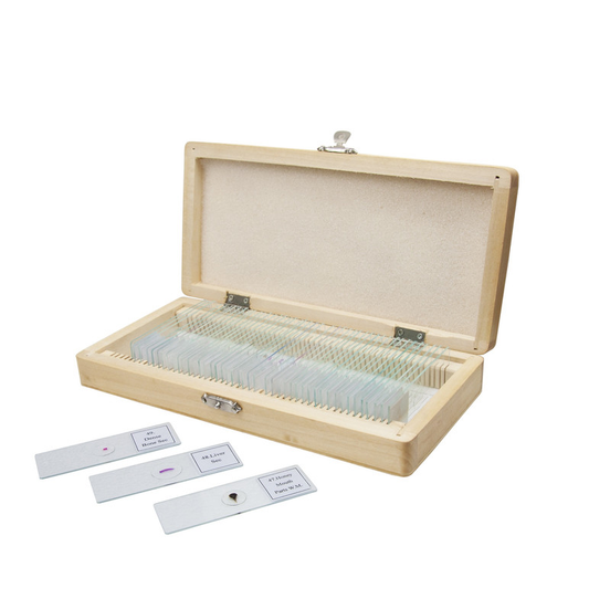 MS-50L2 Microscope Prepred Slide 50pcs. Wooden Box