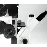 Инвертированный микроскоп ABM-310T для лабораторного наблюдения и культивирования клеточных тканей  Инвертированный микроскоп ABM-310T для лабораторного наблюдения и культивирования клеточных тканей