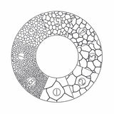 ER-GSA Series Eyepiece Reticle for Grain Sizing Austenite