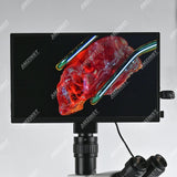 Cámara de microscopio LCD-4KWF con pantalla LCD de 13,3 pulgadas y resolución 4K, con WiFi, HDMI y salida USB 3.0