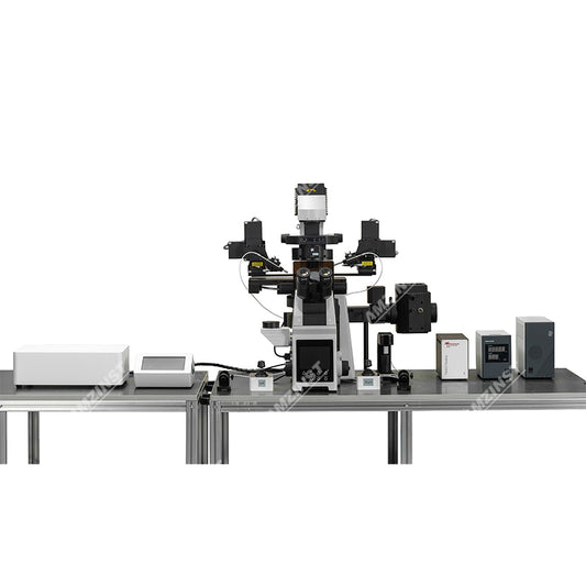 NK-RX60CEL Micromanipulator Microscope