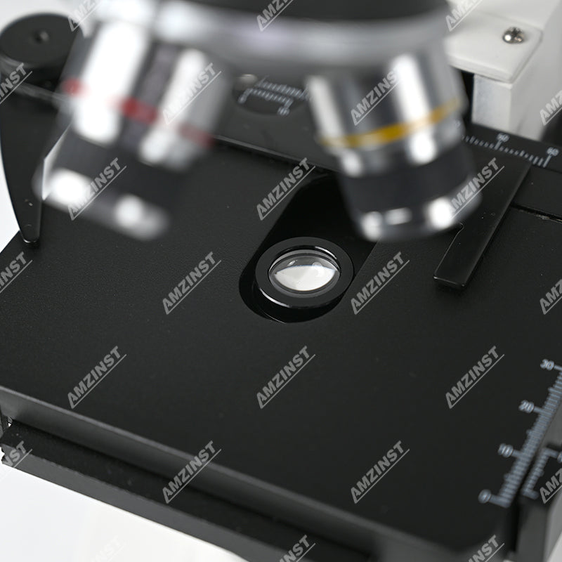 NK-T27B 40x-400x-Fernglas-Biological-Mikroskop mit dem Traggang