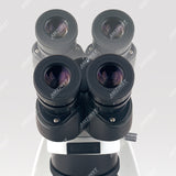 NK-X30T series biological microscope