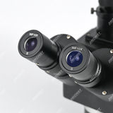 ZM0104-THEB 10X-40X Black Color Microscope Body
