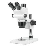 ZM6565T-D5 0.65X-6.5X Microscopio estéreo zoom
