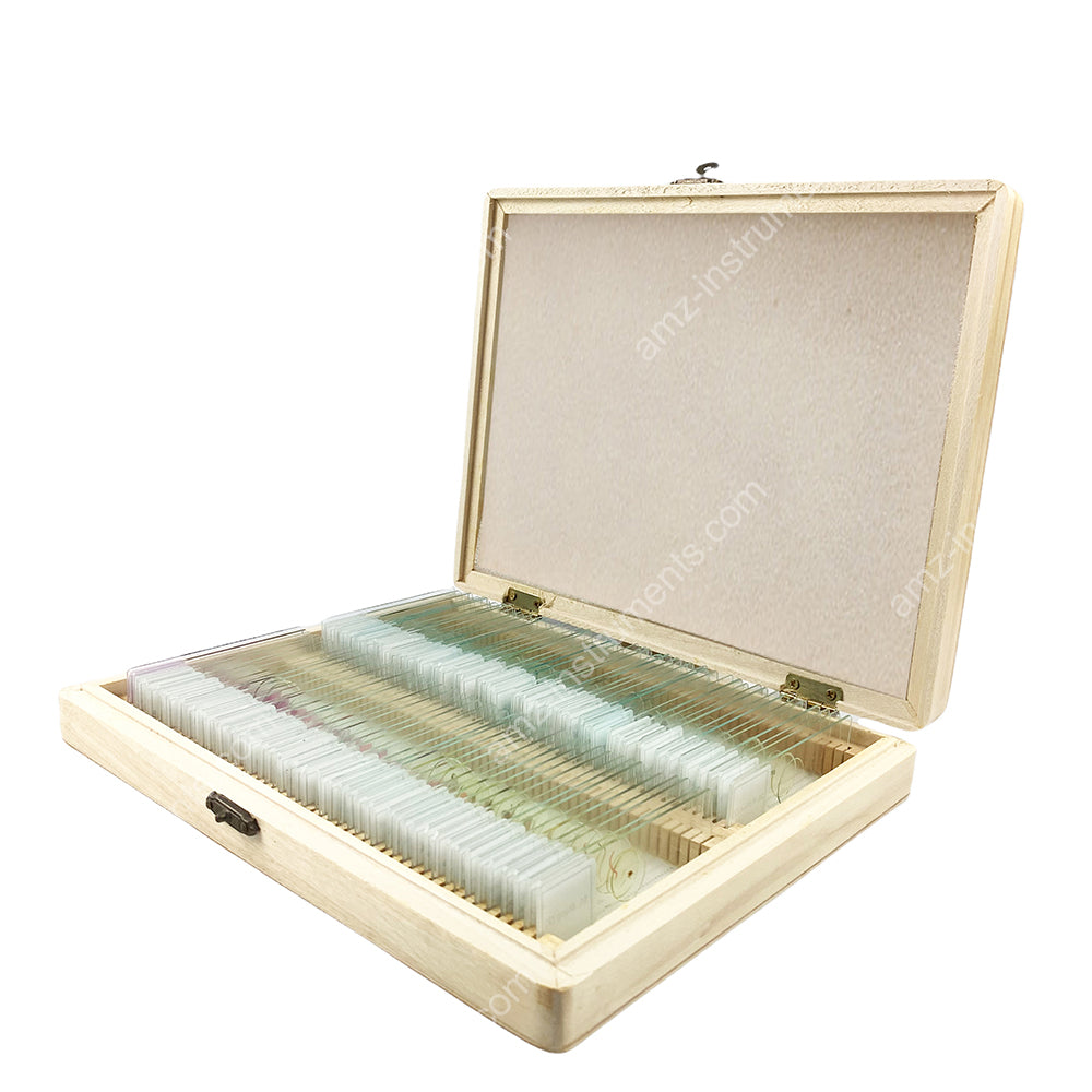 MS-100L Microscope Prepred Slide 100pcs. Wooden Box – AMZINST