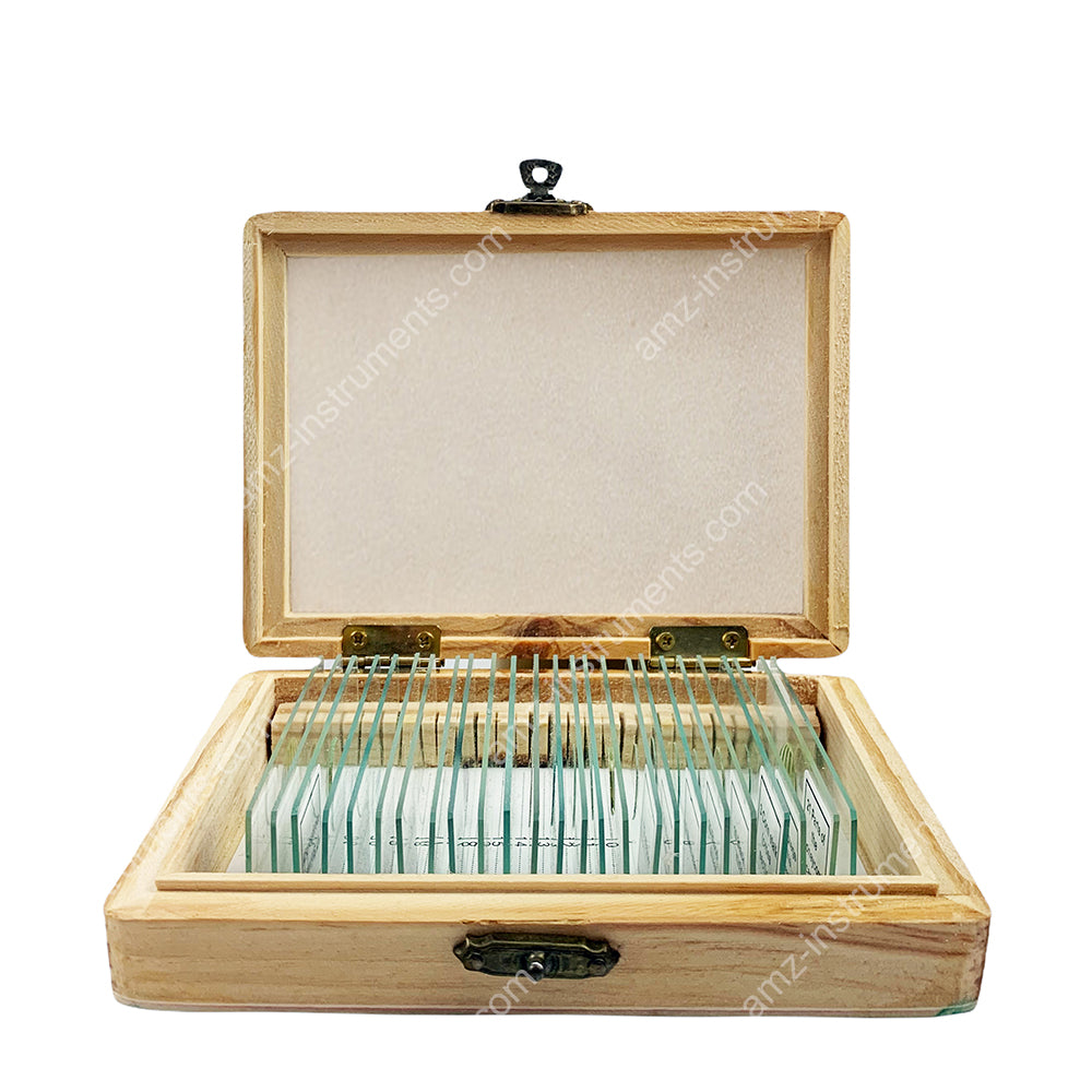 MS-25L Microscope Prepred slide 25pcs. Wooden Box – AMZINST