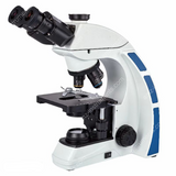 Microscopio trinocular de la serie NK-X20T