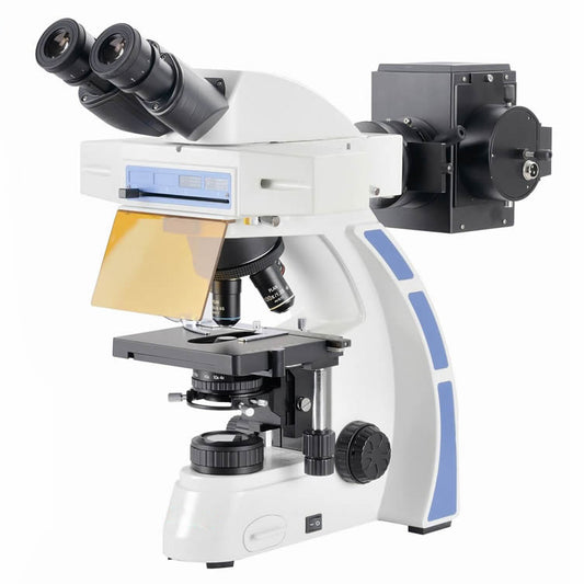 Microscopio de fluorescencia vertical NK-X30FL
