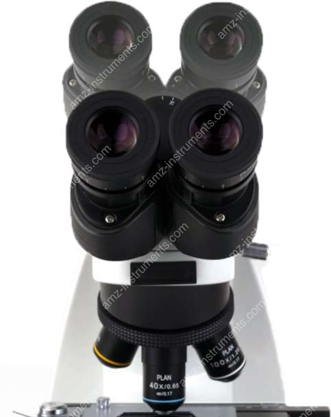 NK-X30T series biological microscope