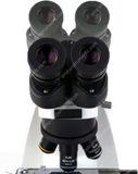 Microscopio biológico de la serie NK-X30B