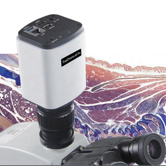 PCT-4KR Digital 30 fps HDMI/ LAN/ USB3.0 CMOS 4K Cámara de microscopio